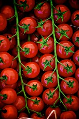 Tomates - Photo of Saint-Paul-en-Born