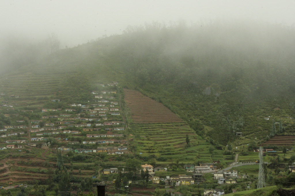 Holidays in Ooty