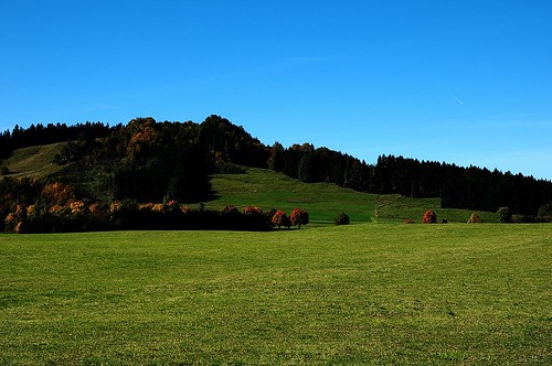 autumn trees sky fall grass outside bavaria view foliage plain moutains peiting formfaktor