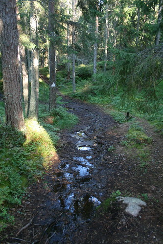 forest finland geotagged stream fin metsä puro naturetrail norrby iniö luontopolku geo:lat=6039875750 geo:lon=2136097400