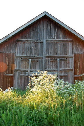flowers sunset sweden barns places villages juoksengi swedenmidnightsun