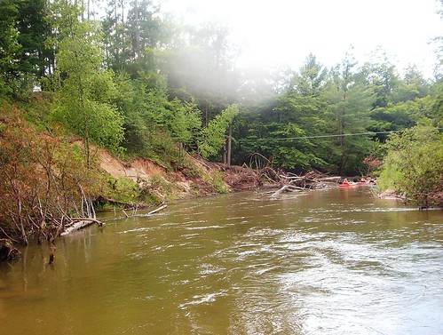 river canoe manistee hoxeyville pineriver