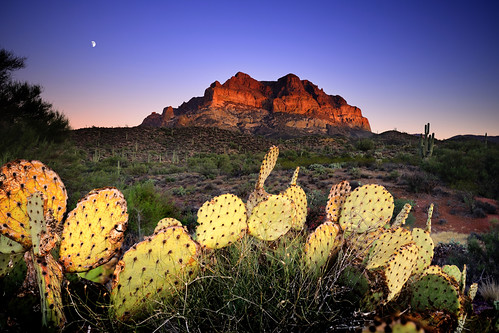 sunset arizona cactus moon nikon superior soe sonorandesert alpenglow cubism superstitionmountains tontonationalforest 1735mm28 golddragon picketpostmountain colorphotoaward d700 tomstoncel jediphotographer