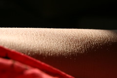 粉吹き肌の肌状態