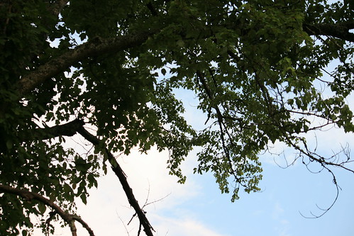 sky tree northcarolina cherokee cherokeenorthcarolina