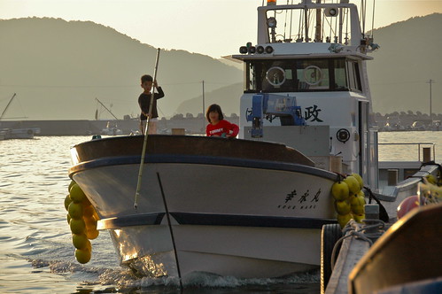 sunset sea kids port boat child murotsu 室津
