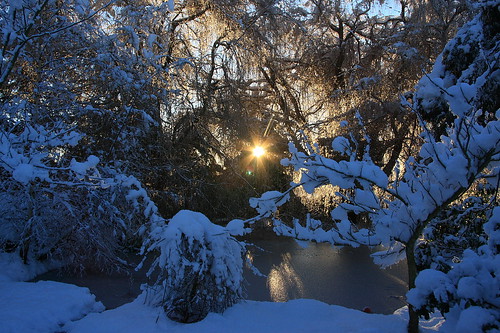 morning trees winter newzealand sun snow ice water june sunrise canon eos dawn pond canterbury nz southisland canoneos mtsomers 0views canterburynz reveley somerslea mountsomers 40d eos40d canoneos40d canon40d mareeareveley