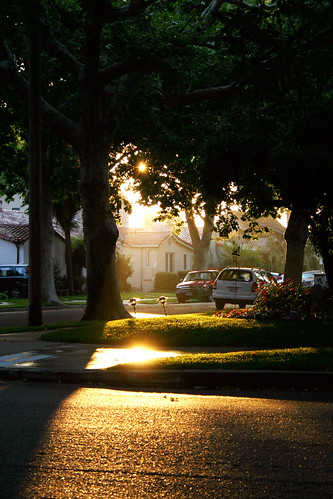 california morning sunrise sanjose neighborhood siliconvalley barrio willowglen casagregorio