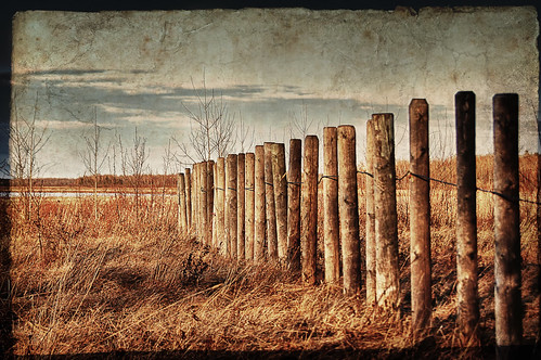 texture fence landscape