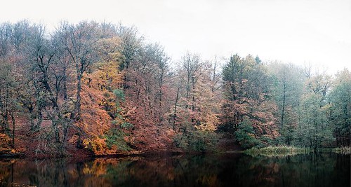 autumn panorama fall nature water fog photoshop germany nordrheinwestfalen externsteine projekt365 besimmazhiqi 19kmeofhovelhof