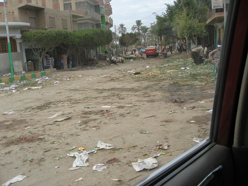 street trash market northafrica flock egypt goat rubbish waste 2008 mideast loweregypt fayyoum lahun allahun