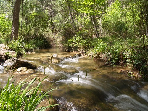 verde water rio agua olympus bosque segura e500 uro 1445mm sierradesegura zuikodigital