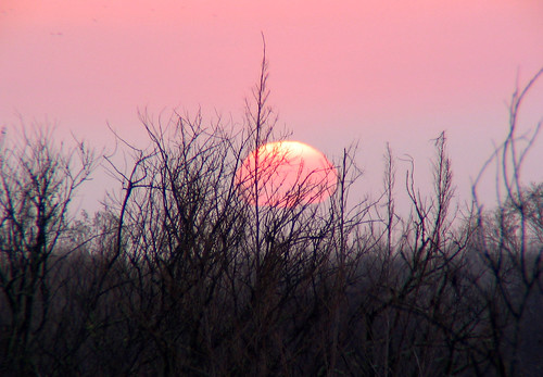 morning pink sky sun sunrise canon florida gainesville fl paynesprairie highway441 us441
