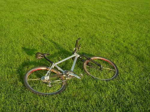 sunset grass bike campus quad mizzou mtb mu