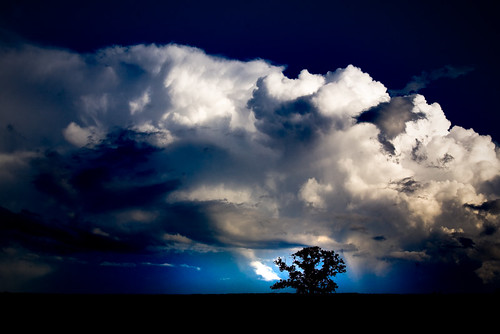 blue sky cloud white storm tree field wisconsin rural canon dark landscape midwest horizon country telephoto cumulus 5d savannah wi thunderhead solitarytree 70mm canoneos5d danecounty canonef70200mmf4lisusm