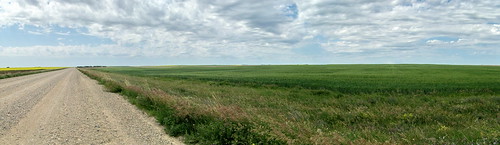 blue panorama canada color colour green farm wheat progress sk prairie saskatchewan agriculture 2009 2000s canadagood