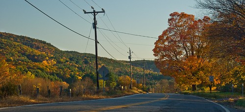 autumn fall landscape telephonepoles chesterfieldnh madamesherriforest