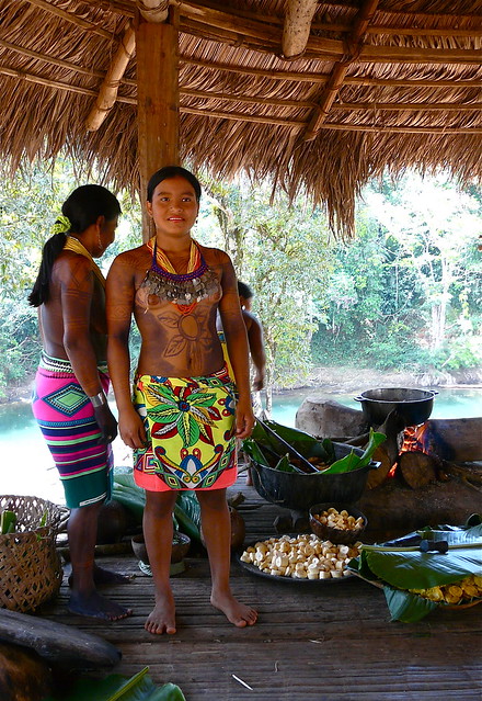 Panama Chagres Park Embera Puru Indianen Flickr