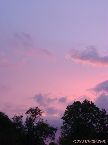 pink sunset tree beautiful clouds purple indiana corydon