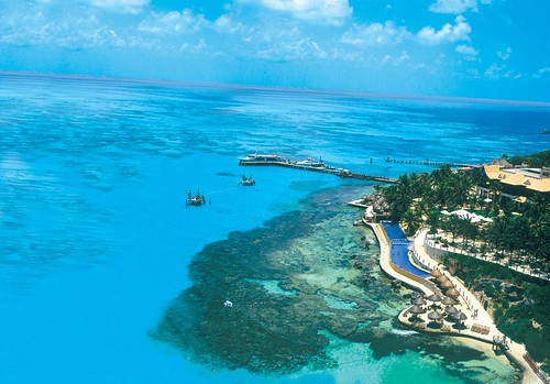coral mexico cancun caribbean reef islamujeres caribe arrecife ecopark parqueecológico garrafonpark parquegarrafón