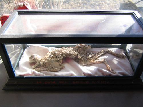 christmas travel vacation skeleton colorado roadtrip mascot grover deadrabbit