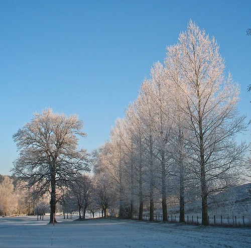 uk blue trees winter sky colour canon landscape scotland frost december 1001nights a620 scottishborders flickrnature aplusphoto diamondclassphotographer naturewatcher