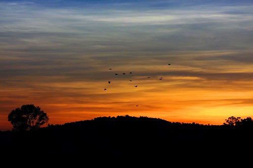 new sunset cloud west birds clouds indonesia guinea dusk papua nouvelle jaya barat westpapua keerom guinee maghrib irian kabupaten ultimateshot senggi tekai usku