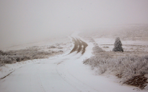 road trees mist snow fog rural landscape utah nebel skylinedrive wasatchplateau
