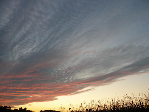 sunset ciel nuages coucherdesoleil landes aquitaine cagnotte