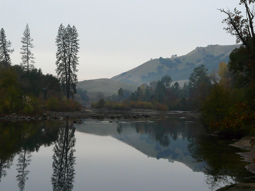 trees reflection water river commute norcal americanriver coloma eldoradocounty hwy49 reflectivewater
