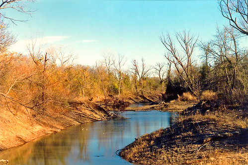 park trees arlington river stream texas shrubs trinityriver