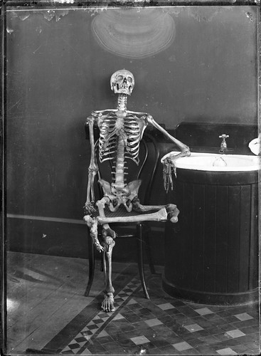 Portrait of an articulated skeleton on a bentwood chair