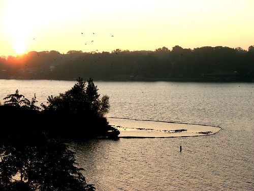 maumee river walbridge park toledo ohio sunrise nature water