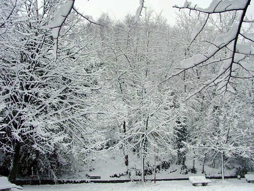 snow alberi neve rami poggio sancipriano aplusphoto lrene