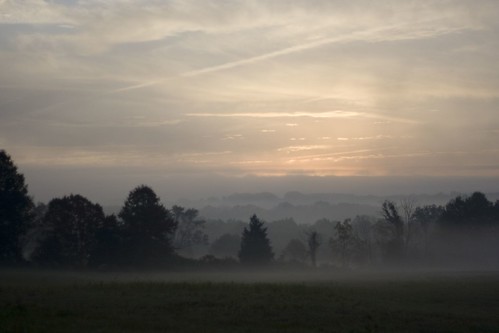 fall fog sunrise campus 50mmf18