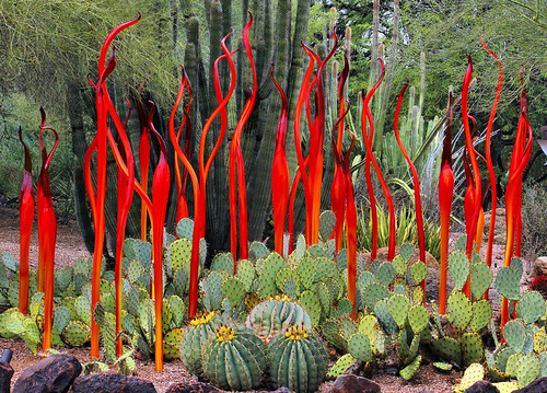 arizona cactus chihuly glass phoenix cacti desert exhibit fabulous dalechihuly desertbotanicalgarden natureselegantshots jhaskellus jhaskell jackhaskell virtualjourney
