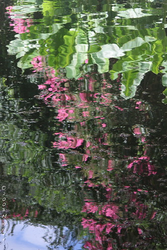 pink water reflections river foliage iq naturesfinest fineartphotos mywinners anawesomeshot impressedbeauty diamondclassphotographer flickrdiamond