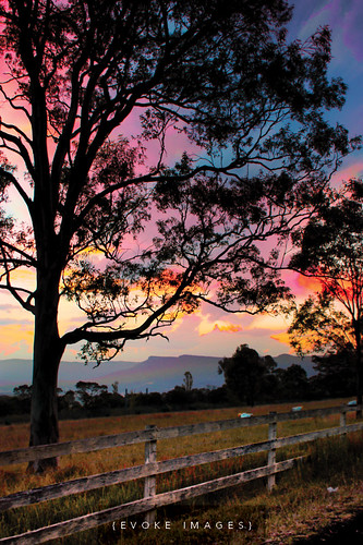 pink blue sunset sky orange mountains tree grass clouds fence geotagged farm australia images southcoast hdr wollongong evoke illawarra bestofaustralia farmboroughheights mathewsacco geo:lat=34458022 geo:lon=150811504