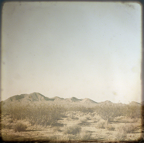 120 film landscape desert kodak hasselblad layers hwy395 portra textured creosote 160nc creamme 80mmcf