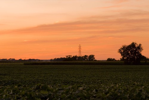 sunset sky orange cloud tree nature field illinois nikon farm soybean kellogg naturephotography d80