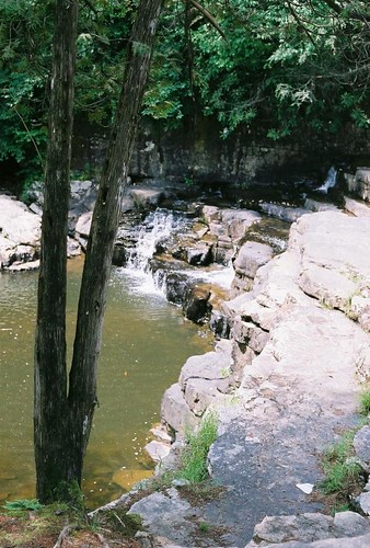 tree waterfall stream appalachiantrail trail:name=appalachiantrail trail:mile=600