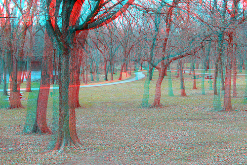park lake tree water bikepath stereoscopic stereophoto branches rustic anaglyph iowa trail siouxcity redcyan 3dimages 3dphoto 3dphotos 3dpictures siouxcityia stereopicture