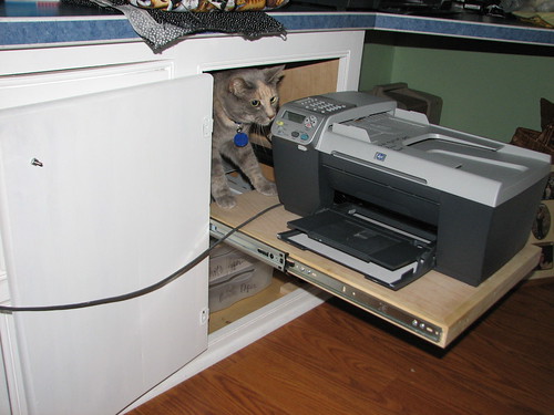 Buttercup and the printer