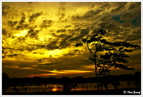 sunset golden sundown malaysia a200 selangor shahalam lakegarden naturesfinest sonydslr mywinners abigfave anawesomeshot theunforgettablepictures ibnuyusuf theperfectphotographer goldstaraward mysonia
