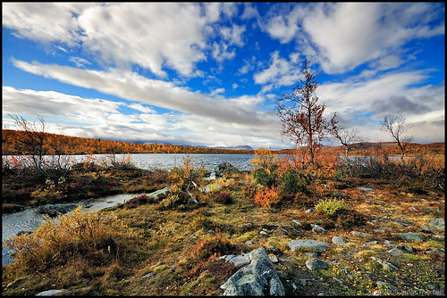 autumn trees sky lake mountains fall water clouds forest moss stream sweden stones fells wilderness shrubbery ammarnäs ruska sorsele vasterbottens 2kmneoftjultrask