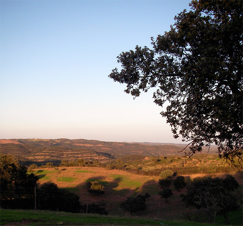 shadow santacruz tree portugal landscape shades hills algarve bushes almodovar