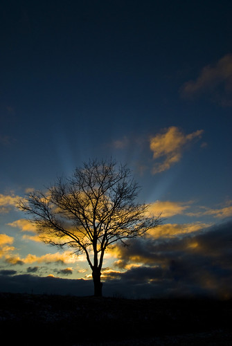 morning sky tree clouds sunrise alone fresh crisp newyearseve lone awake beamsoflight huntingtonindiana raysintosky