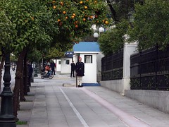 Evzonas ('Tsolias'), Presidential guard, Greece