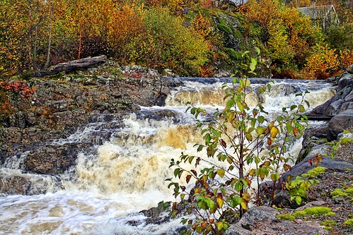 autumn trees fall river waterfall cascade citrit larigan phamilton gettyimagesnorwayq1