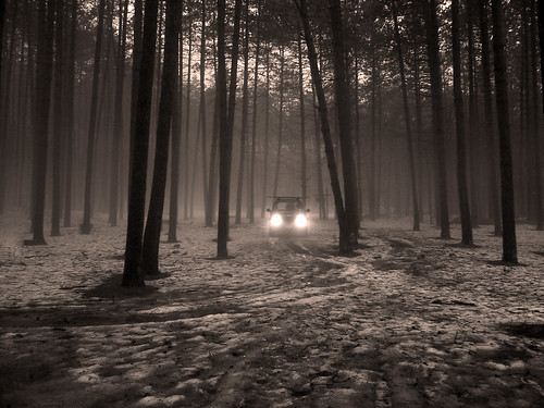 bw white snow black color tree nature water rain fog woods mood jeep awesome adk
